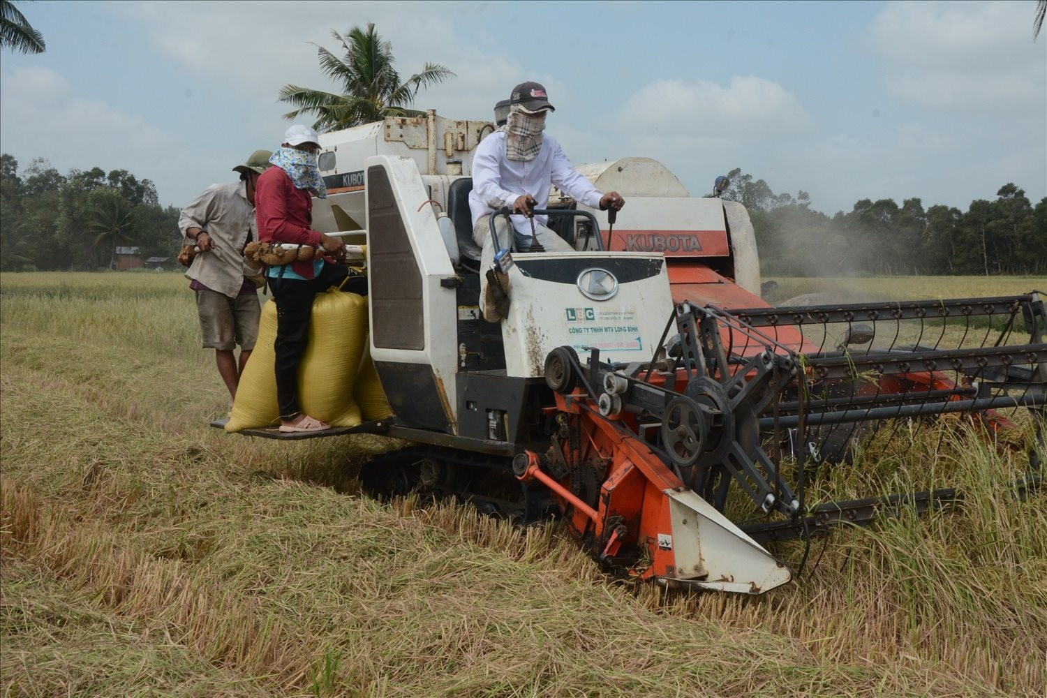 Phát triển nông nghiệp xanh tại Việt Nam - Bài 2: Những thách thức của biến đổi khí hậu Phát triển nông nghiệp xanh tại Việt Nam - Bài 2: Những thách thức của biến đổi khí hậu