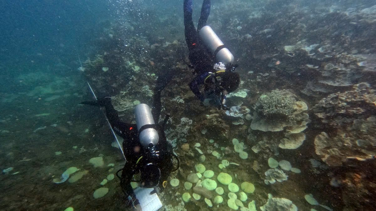 Lặn vớt hàng tấn rác thải đại dương dưới đáy biển Côn Đảo