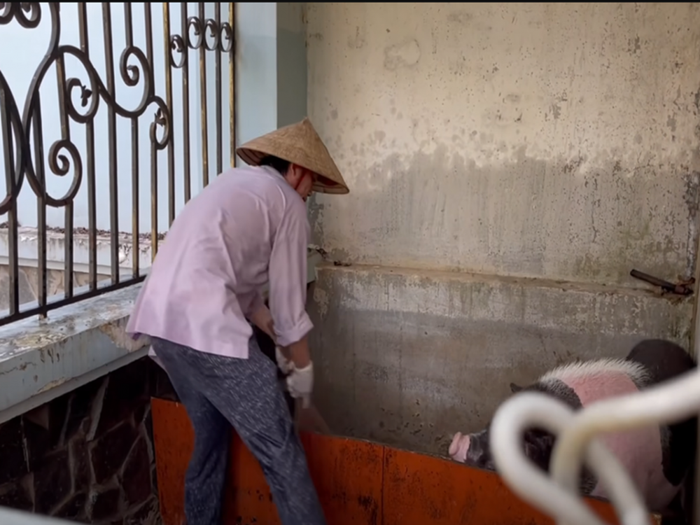 Cuộc sống của Hoài Linh trong nhà thờ Tổ nghiệp trăm tỷ Cuộc sống của Hoài Linh trong nhà thờ Tổ nghiệp trăm tỷ