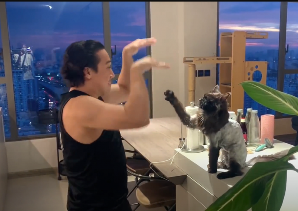 Cuộc sống của Trấn Thành - Hari Won trong căn hộ 20 tỷ