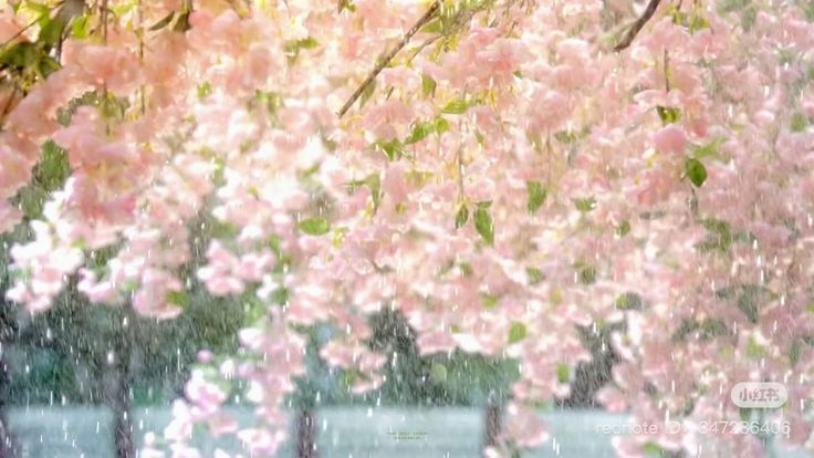 Tử vi vòng quay công nghệ ngày 4/8/2025: Tuổi Sửu thu nhập đảm bảo, tuổi Tuất khó khăn tài chính