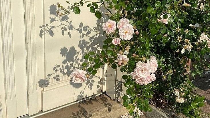 Tử vi vòng quay công nghệ ngày 6/8/2025: Tuổi Tuất tràn đầy sức sống, tuổi Mùi nhiều áp lực Tử vi vòng quay công nghệ ngày 6/8/2025: Tuổi Tuất tràn đầy sức sống, tuổi Mùi nhiều áp lực