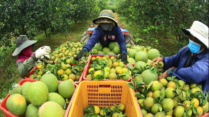 Phát triển kinh tế tư nhân: Trên 16.000 doanh nghiệp thành lập mới trong tháng 7/2025