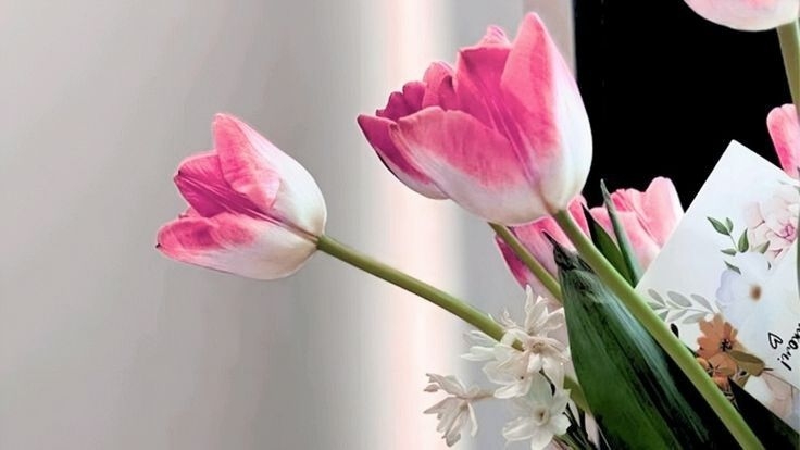 Tử vi vòng quay công nghệ ngày 7/8/2025: Tuổi Tý cần đề phòng, tuổi Tuất một ngày thuận lợi Tử vi vòng quay công nghệ ngày 7/8/2025: Tuổi Tý cần đề phòng, tuổi Tuất một ngày thuận lợi