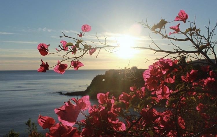 Tử vi vòng quay công nghệ ngày 8/8/2025: Tuổi Hợi tài lộc rộng mở, tuổi Dần cẩn trọng tiểu nhân