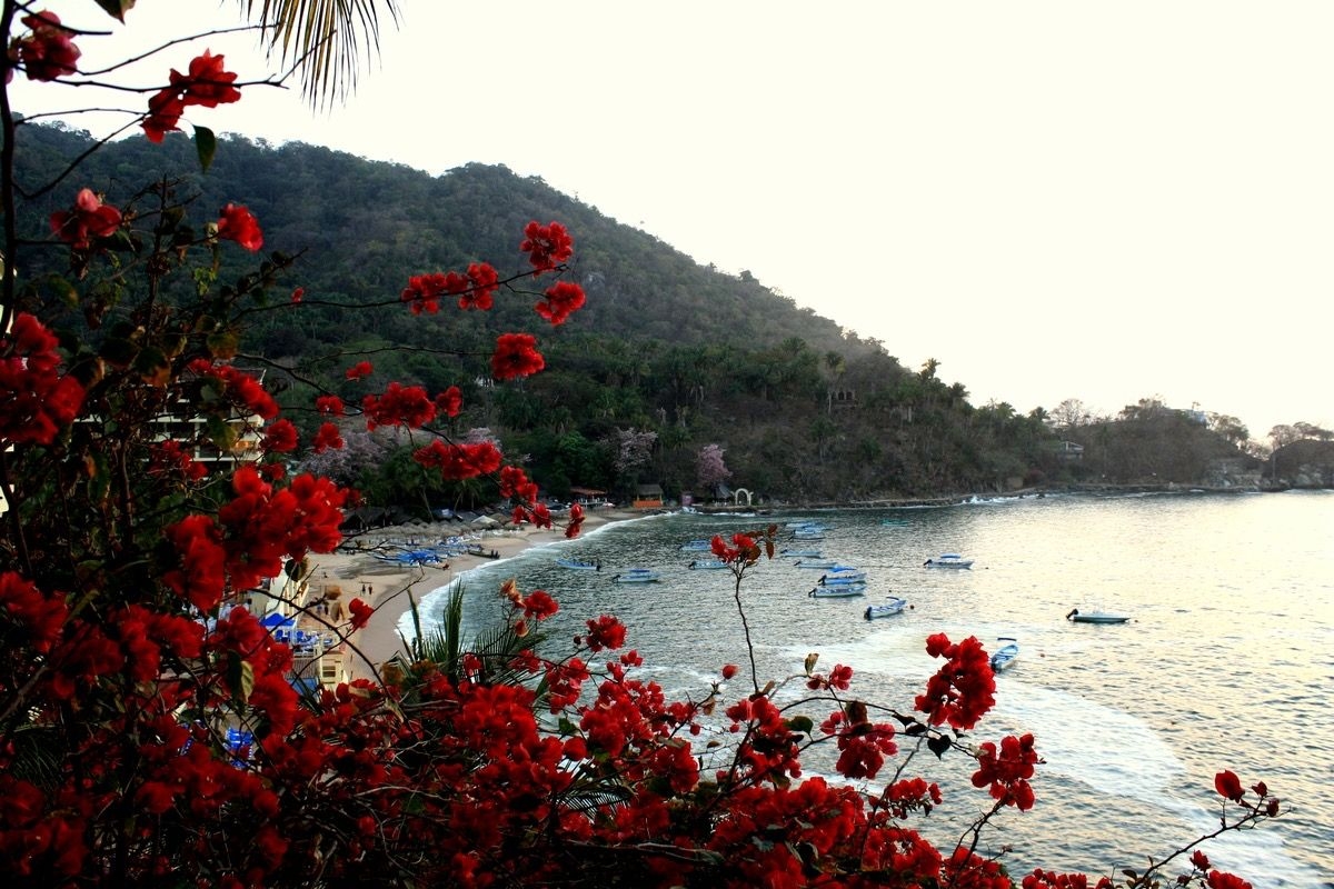 Tử vi vòng quay công nghệ ngày 8/8/2025: Tuổi Hợi tài lộc rộng mở, tuổi Dần cẩn trọng tiểu nhân