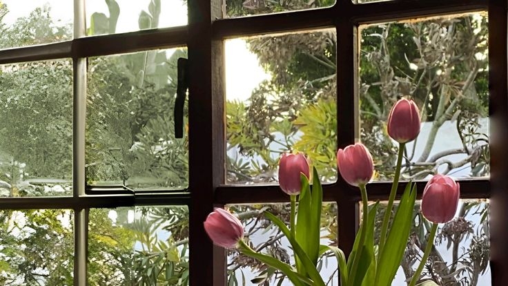 Tử vi vòng quay công nghệ ngày 9/8/2025: Tử vi vòng quay công nghệ ngày 9/8/2025: