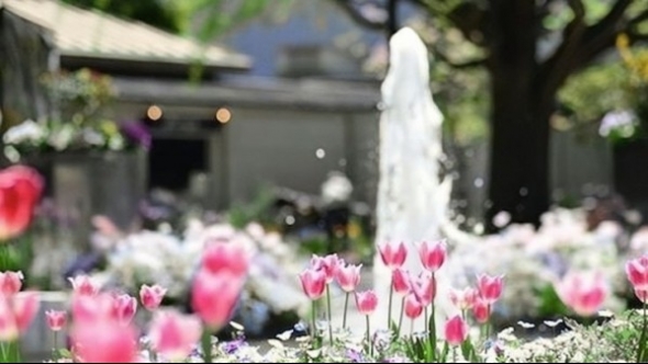 Tử vi vòng quay công nghệ ngày 9/8/2025: Tuổi Tuất gặp nhiều may mắn, tuổi Tý dễ vướng phải khúc mắc