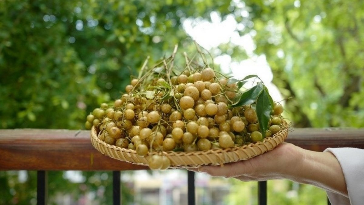 Lạng Sơn: Phát huy hiệu quả kinh tế từ cây nông sản địa phương