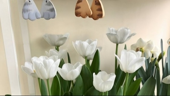 Tử vi vòng quay công nghệ ngày 12/8/2025: Tuổi Mão nhiều sóng gió, tuổi Tỵ khởi sắc