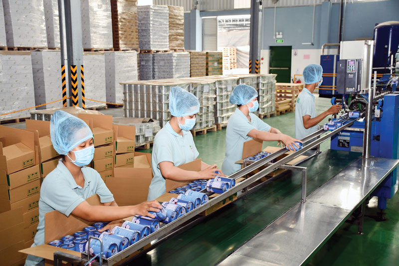 Vĩnh Long mở rộng vùng trồng dừa hữu cơ lên 34.000ha