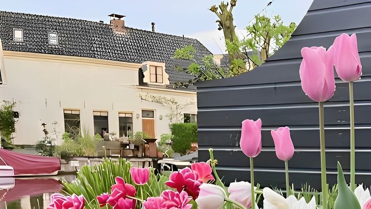 Tử vi vòng quay công nghệ ngày 13/8/2025: Tuổi Ngọ tình cảm thăng hoa, tuổi Dần gặp vài rắc rối Tử vi vòng quay công nghệ ngày 13/8/2025: Tuổi Ngọ tình cảm thăng hoa, tuổi Dần gặp vài rắc rối