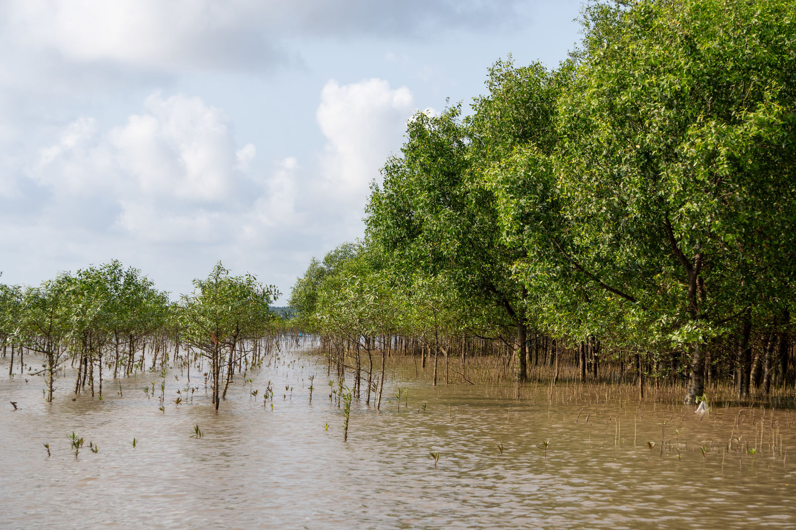 Philippines: Nâng cao năng lực ứng phó với biến đổi khí hậu Philippines: Nâng cao năng lực ứng phó với biến đổi khí hậu