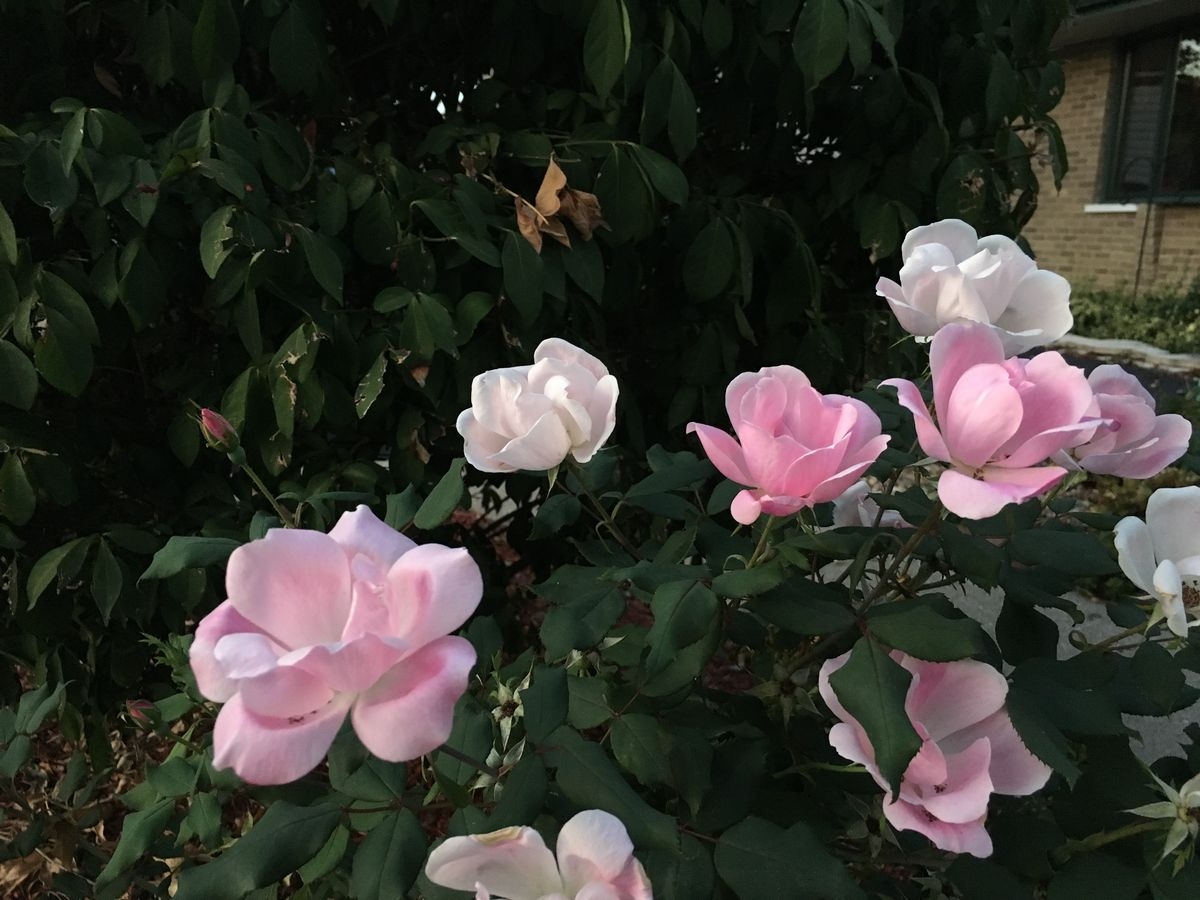 Tử vi vòng quay công nghệ ngày 14/8/2025: Tuổi Hợi công việc không tốt, tuổi Mão kinh doanh lộc lá Tử vi vòng quay công nghệ ngày 14/8/2025: Tuổi Hợi công việc không tốt, tuổi Mão kinh doanh lộc lá