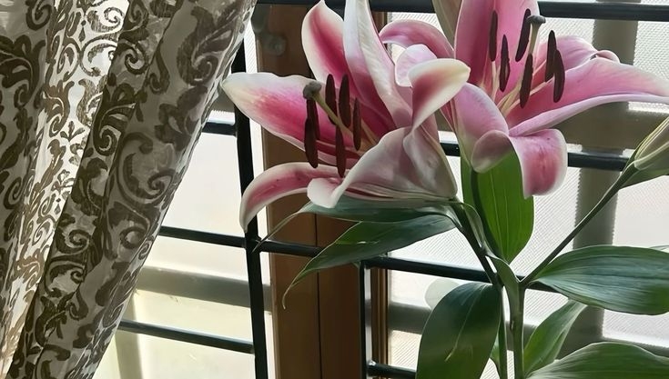 Tử vi vòng quay công nghệ ngày 19/8/2025: Tuổi Tý nhận tin tốt, tuổi Ngọ xung đột trong tình yêu Tử vi vòng quay công nghệ ngày 19/8/2025: Tuổi Tý nhận tin tốt, tuổi Ngọ xung đột trong tình yêu