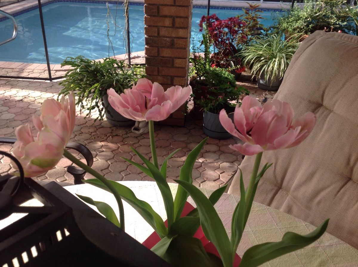 Tử vi vòng quay công nghệ ngày 19/8/2025: Tuổi Tý nhận tin tốt, tuổi Ngọ xung đột trong tình yêu Tử vi vòng quay công nghệ ngày 19/8/2025: Tuổi Tý nhận tin tốt, tuổi Ngọ xung đột trong tình yêu