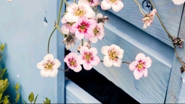 Tử vi vòng quay công nghệ ngày 22/8/2025:Tuổi Hợi gặp trục trặc, tuổi Thìn thuận buồm xuôi gió