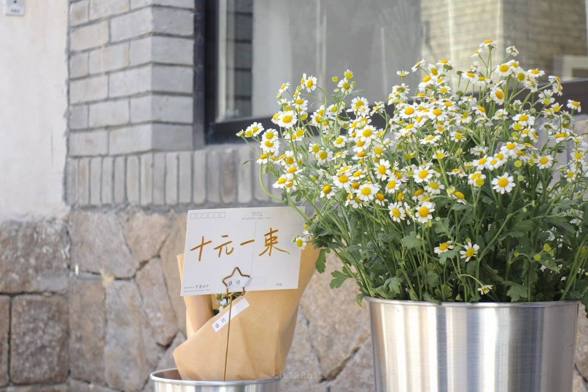 Tử vi vòng quay công nghệ ngày 23/8/2025: Tuổi Tý tiến triển tốt, tuổi Mùi tránh thị phi Tử vi vòng quay công nghệ ngày 23/8/2025: Tuổi Tý tiến triển tốt, tuổi Mùi tránh thị phi