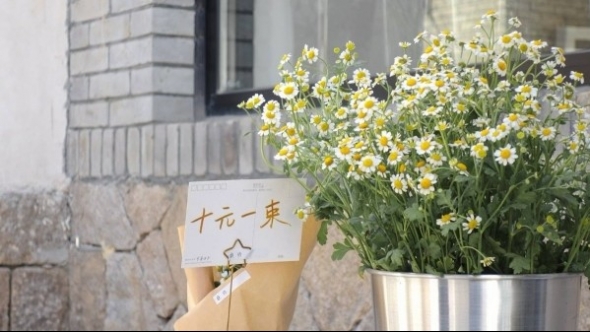 Tử vi vòng quay công nghệ ngày 23/8/2025: Tuổi Tý tiến triển tốt, tuổi Mùi tránh thị phi