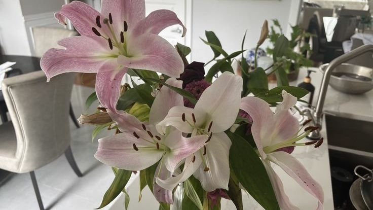 Tử vi vòng quay công nghệ ngày 24/8/2025: Tuổi Mão vượng tài lộc, tuổi Mùi mua sắm quá đà