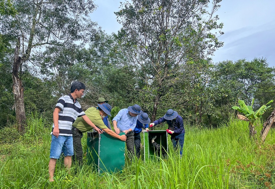 Bảo tồn hệ sinh thái đa dạng tại Vườn quốc gia Cát Tiên Bảo tồn hệ sinh thái đa dạng tại Vườn quốc gia Cát Tiên