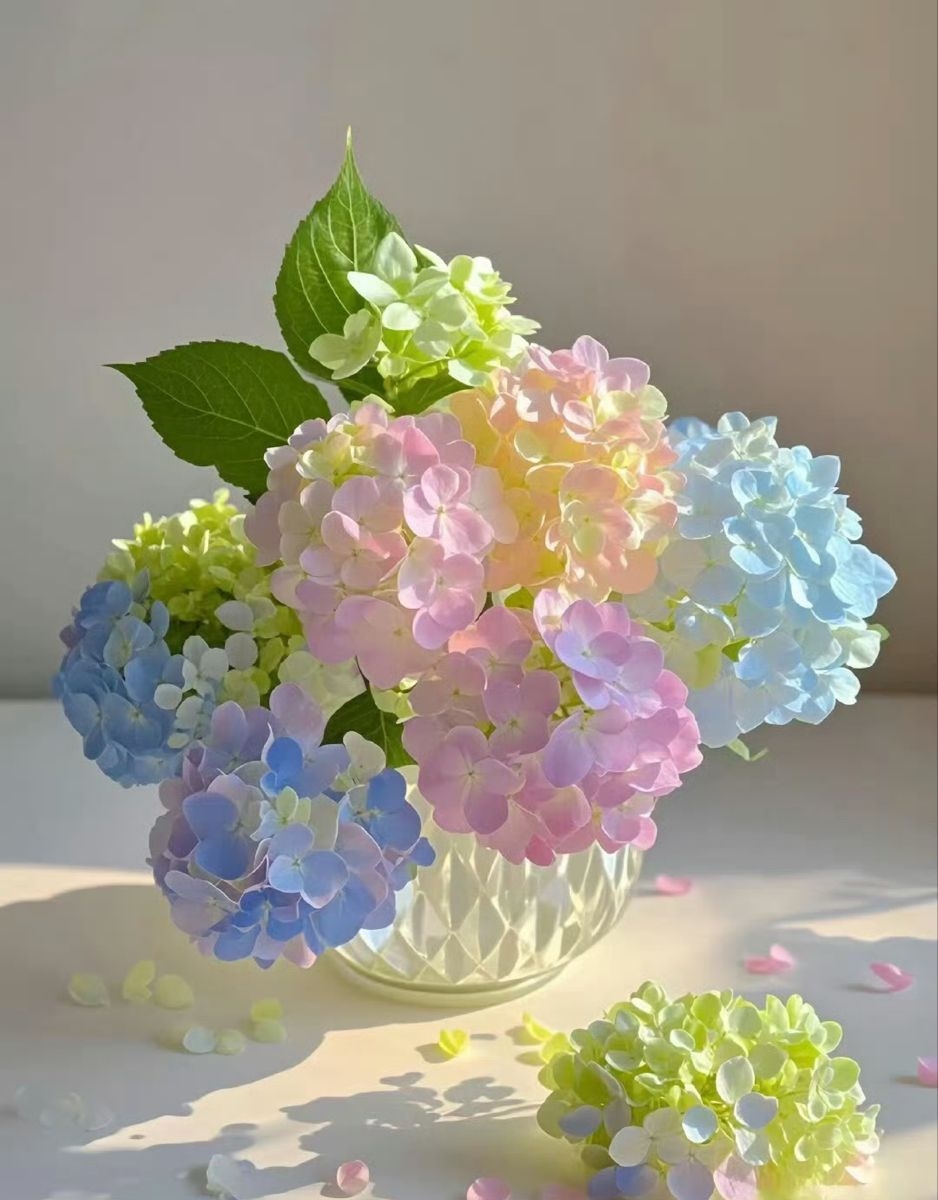 Tử vi vòng quay công nghệ ngày 27/8/2025: Tuổi Dậu gặp may mắn, tuổi Sửu phải suy nghĩ nhiều