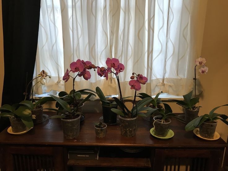 Tử vi vòng quay công nghệ ngày 28/8/2025: Tuổi Ngọ trở nên thuận lợi, tuổi Tuất tình trạng mệt mỏi