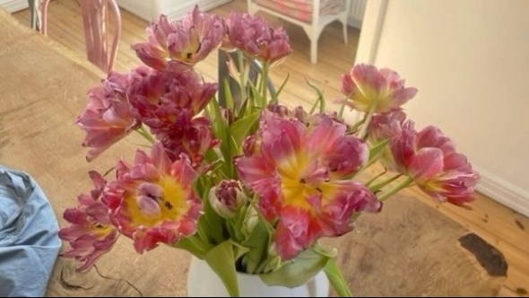 Tử vi vòng quay công nghệ ngày 28/8/2025: Tuổi Ngọ trở nên thuận lợi, tuổi Tuất tình trạng mệt mỏi