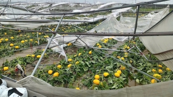 Tập trung khôi phục sản xuất nông nghiệp sau bão số 5