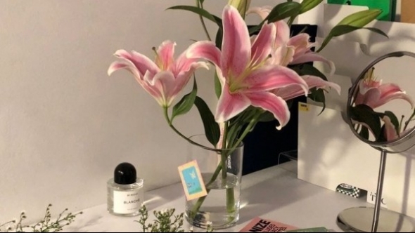 Tử vi vòng quay công nghệ ngày 29/8/2025: Tuổi Dần công việc khó khăn, tuổi Mão tin tốt lành