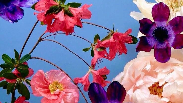 Tử vi vòng quay công nghệ ngày 1/9/2025: Tuổi Dậu tin vui tài lộc, tuổi Tý kẻ xấu hãm hại