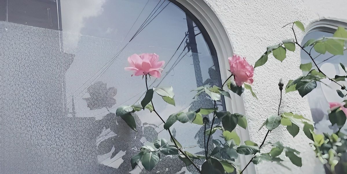 Tử vi vòng quay công nghệ ngày 1/9/2025: Tuổi Dậu tin vui tài lộc, tuổi Tý kẻ xấu hãm hại