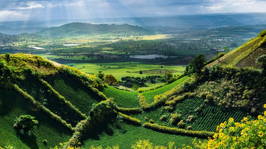 Gia Lai: Bảo vệ tài nguyên đất, phục hồi hệ sinh thái