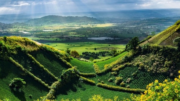 Gia Lai: Bảo vệ tài nguyên đất, phục hồi hệ sinh thái