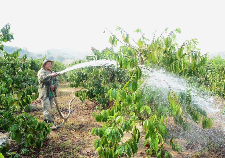 Chủ động ứng phó nguy cơ thiếu nước do ảnh hưởng hiện tượng El Nino Chủ động ứng phó nguy cơ thiếu nước do ảnh hưởng hiện tượng El Nino