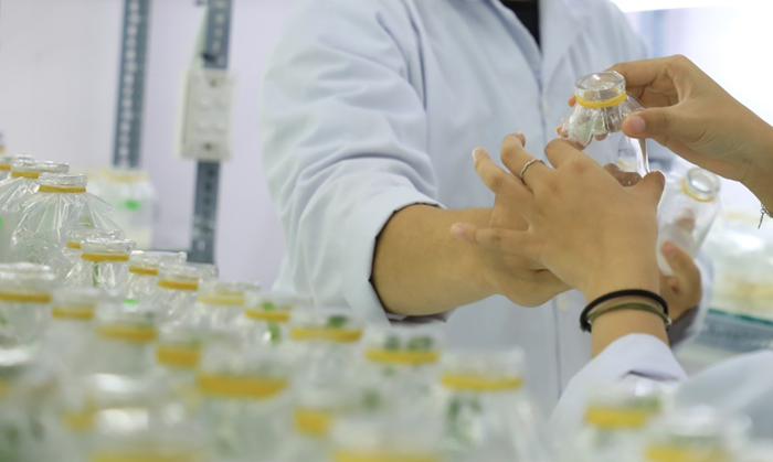 Nhiệm vụ trọng tâm phát triển công nghiệp sinh học ngành nông nghiệp và môi trường Nhiệm vụ trọng tâm phát triển công nghiệp sinh học ngành nông nghiệp và môi trường