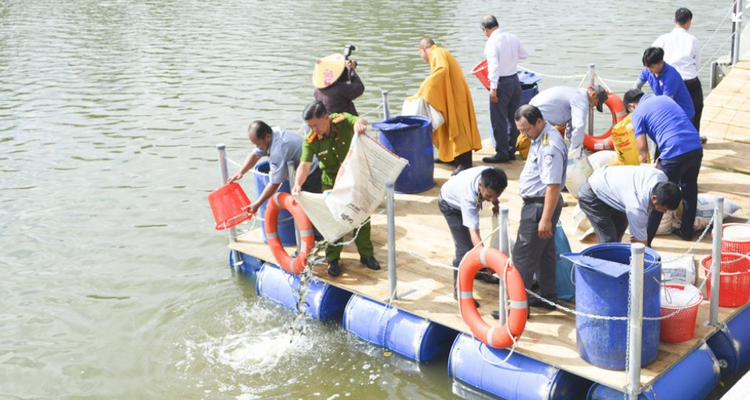 Đồng Tháp tăng cường bảo vệ động vật hoang dã và nguồn lợi thủy sản Đồng Tháp tăng cường bảo vệ động vật hoang dã và nguồn lợi thủy sản