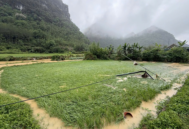 Cao Bằng tập trung ứng phó, giảm nhẹ thiệt hại do thiên tai Cao Bằng tập trung ứng phó, giảm nhẹ thiệt hại do thiên tai