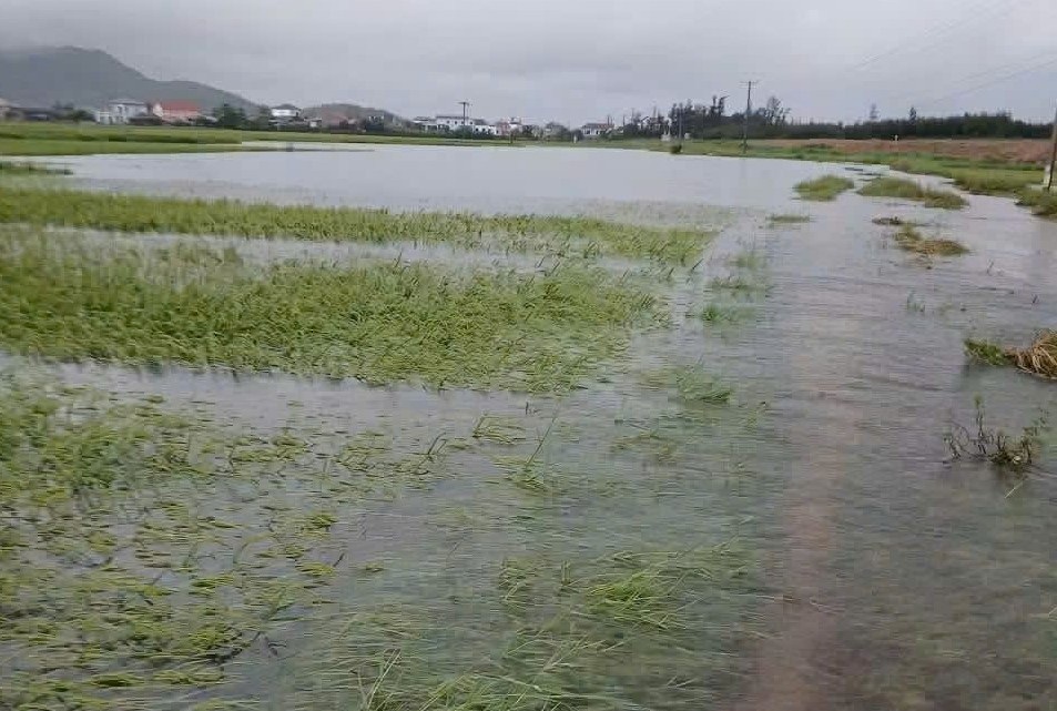 Hà Tĩnh mưa lớn gây ngập nhiều nơi, cảnh báo lũ quét, sạt lở Hà Tĩnh mưa lớn gây ngập nhiều nơi, cảnh báo lũ quét, sạt lở