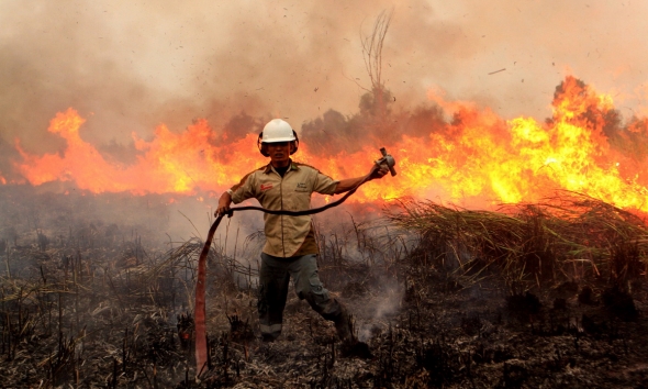 Cháy rừng gây ảnh hưởng hơn 200.000ha đất ở Indonesia