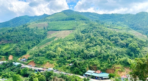 Thái Nguyên có trên 45.000ha rừng được cấp chứng chỉ FSC