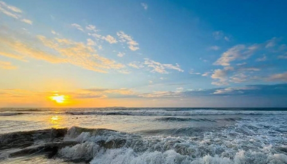 Nhiệt độ bề mặt đại dương tăng cao bất thường