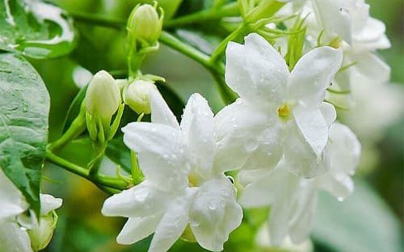 Tử vi vòng quay công nghệ ngày 30/9/2024: Tuổi Mão quý nhân giúp đỡ, Tuổi Tý tìm thấy cơ hội tình duyên Tử vi vòng quay công nghệ ngày 30/9/2024: Tuổi Mão quý nhân giúp đỡ, Tuổi Tý tìm thấy cơ hội tình duyên