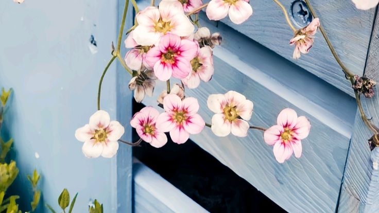 Tử vi vòng quay công nghệ ngày 3/9/2025: Tuổi Ngọ hao tài tốn của, tuổi Mùi tinh thần hăng hái