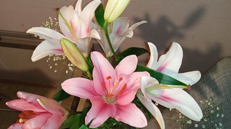 Tử vi vòng quay công nghệ ngày 4/9/2025: Tuổi Thìn gặp rắc rối, tuổi Hợi xảy ra bất hòa Tử vi vòng quay công nghệ ngày 4/9/2025: Tuổi Thìn gặp rắc rối, tuổi Hợi xảy ra bất hòa