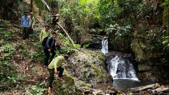 Nâng cao hiệu quả công tác bảo tồn đa dạng sinh học tại Vườn quốc gia Chư Mom Ray
