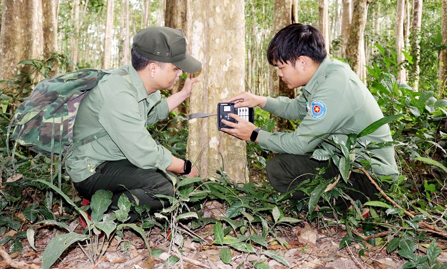 Nâng cao hiệu quả công tác bảo tồn đa dạng sinh học tại Vườn quốc gia Chư Mom Ray Nâng cao hiệu quả công tác bảo tồn đa dạng sinh học tại Vườn quốc gia Chư Mom Ray