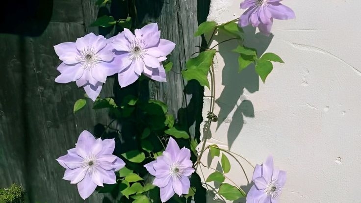 Tử vi vòng quay công nghệ ngày 6/9/2025: Tuổi Thân cát khí dồi dào, tuổi Ngọ tiểu nhân hãm hại Tử vi vòng quay công nghệ ngày 6/9/2025: Tuổi Thân cát khí dồi dào, tuổi Ngọ tiểu nhân hãm hại