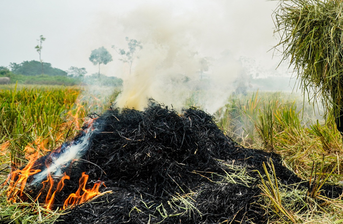 Vi phạm về môi trường trong 8 tháng năm 2025 giảm mạnh Vi phạm về môi trường trong 8 tháng năm 2025 giảm mạnh