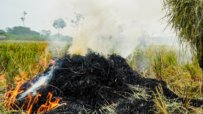 Vi phạm về môi trường trong 8 tháng năm 2025 giảm mạnh